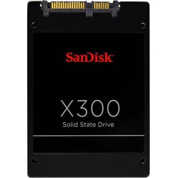 Sandisk X300 128GB